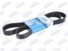 SCANI 1389001 V-Ribbed Belts